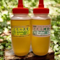 2025年最新】おおやまざくらの人気アイテム - メルカリ