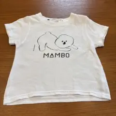 MAMBO イラスト Tシャツ クラスカ