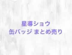 星導ショウ 缶バッジ ミニアクスタ まとめ売り