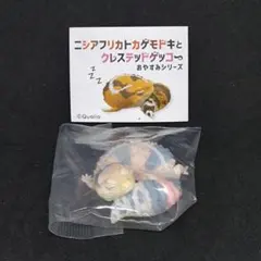 ニシアフリカトカゲモドキとクレステッドゲッコー おやすみシリーズ
