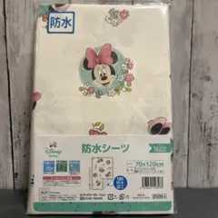 Item thumbnail for item d3708a67-c4eb-439c-92b9-050b5e73e322