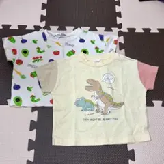 恐竜 はらぺこあおむし 80サイズ Tシャツ2枚セット