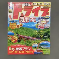 Item thumbnail for item d58cbe54-3d3a-4742-bf00-6bd623ac1dce