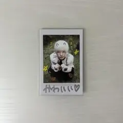 &team harua ハルア