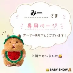 みーさま専用☆