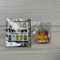 ハイキュー コスチュームキューピー 宮治