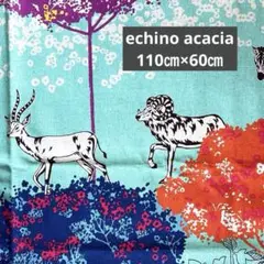 echino acacia ミント　未使用