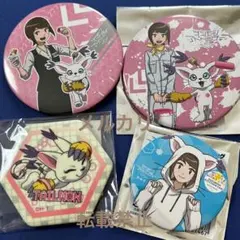 デジモン 缶バッジ ヒカリ テイルモン 4点セット - メルカリ