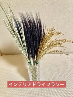 装飾古代米ドライフラワー 黒ひげ穂・ゴールド穂２種セット+おまけ