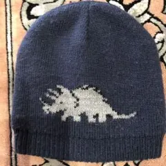 ZARAキッズ ニット帽