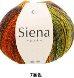 シエナ　並太　毛糸　大玉　グラデ　１玉　7番　オレンジ　200g480m