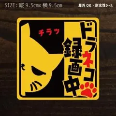 ドラネコ録画中①　防水ステッカー　シール　猫　ドラレコ 0058