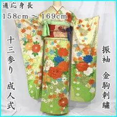410aj75〇金駒刺繍 地紋 振袖＆袋帯 刺繍 十三参り 成人式〇状態良好