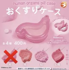human organs pill case 腸