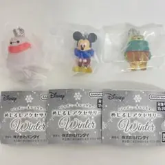 ディズニーめじるしアクセサリー WINTER セットミッキーベイマックスプーさん