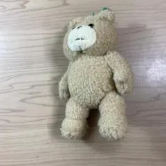 ted ぬいぐるみ