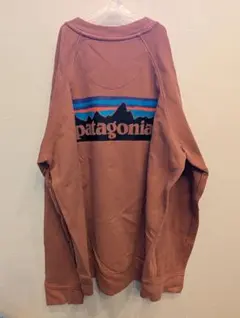 美品　廃盤品　パタゴニア スウェットPatagonia P-6ロゴ （XS）