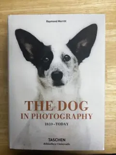 THE DOG IN PHOTOGRAPHY 1839-TODAY