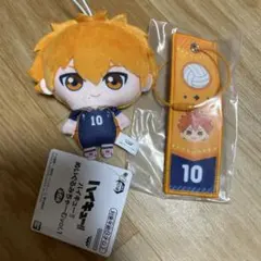 ハイキュー　日向