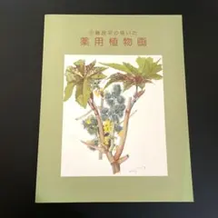 小磯良平、すいかずら、高級薬用植物画、版上サイン入、新品額付 小磯良平、すいかずら、高級薬用植物画、版上サイン入、新品額付