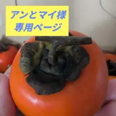 アンとマイ様専用ページ／高瀬柿