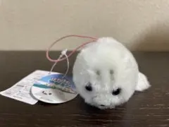 Item thumbnail for item 4b8d517f-8e42-45d0-a133-1877e8520ec1