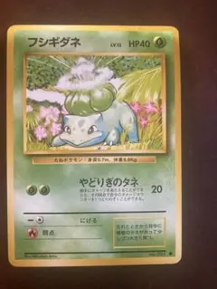 旧裏ポケモンカード　フシギダネ　マークなし