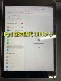 ANAプレミアムメンバー限定 ロゴ刻印 iPad Wi-Fi 64GB 全日空 - メルカリ