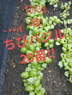 えりか様 リクエスト 2点 まとめ商品