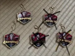 鹿島アントラーズ 優勝記念キーホルダーセット 鹿島アントラーズ優勝記念キーホルダーセット #6#11#25#34#38 - メルカリ