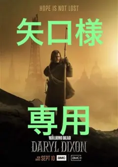 矢口様　専用（平たいまま発送）