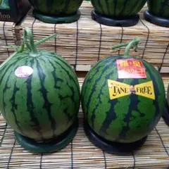 産地直送 熊本植木町スイカ【2玉入り】7kgと8kg - メルカリ