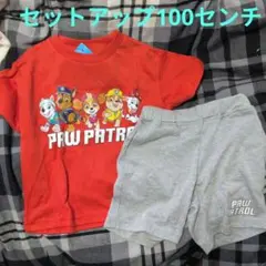 子供服パウ・パトロール　セットアップ100センチ