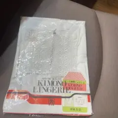 Item thumbnail for item 85a55d15-6d76-4529-9b8d-13d33dc3a031