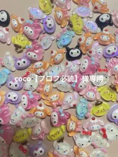 coco【プロフ必読】さま専用