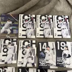 Item thumbnail for item ecb5c46c-bfc9-424d-b1ce-506e79edb15f