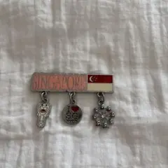 シンガポール マグネット チャーム付き