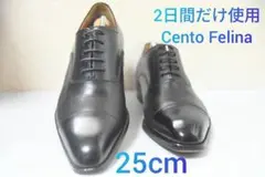 2日だけ使用 Cento Felina ストレートチップ 牛革 黒 25cm