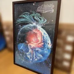 千P⑥12星座女のこ　ジグソーパズル　黒縁木額53×79㎝　パネル完成品 千P⑥12星座女のこ ジグソーパズル 黒縁木額53×79㎝ パネル完成品