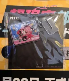 NTE TGS2025 レクイエム アクリルスタンド - メルカリ