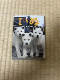 いぬ 岩合光昭 写真集