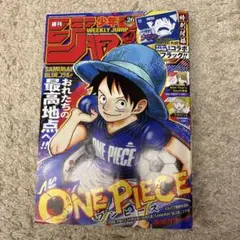 OPP袋保管 週刊少年ジャンプ 2026年26号 ONE PIECE ワンピース - メルカリ