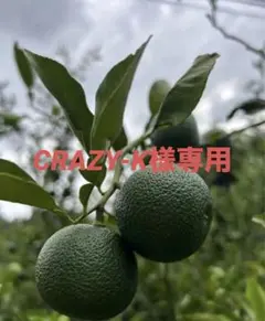CRAZY-K様専用①のサムネイル