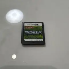 サバイバルキッズ　LOSTin BLUE2