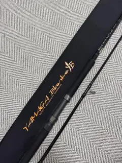 2026年最新】YAMAGA Blanks ショアジギングロッドの人気アイテム