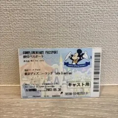 超希少　平成レトロ　東京ディズニーシー　キャスト用パス