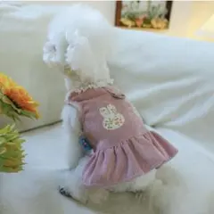 犬服 フリル付きピンクドレス XS dカン付き