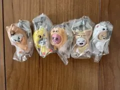 Item thumbnail for item cb66e30c-ae86-4491-8018-e7df5bf519c3