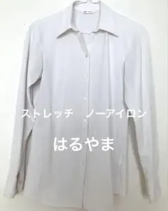 ノーアイロン レディース 白