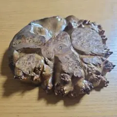 Item thumbnail for item 31646d6b-9482-48c9-809d-a0c52f89367e